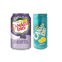 CANADA DRY