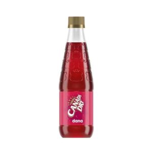 Canada Dry Dana Soft Drink 330ml