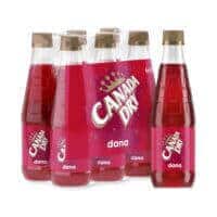Canada Dry Dana Soft Drink 330ml x6