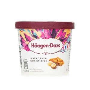 Haagen Dazs macadamia nut brittle ice cream 100ml